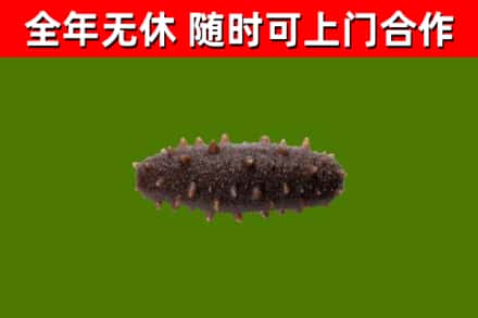 乐平市烟酒回收干海参.jpg